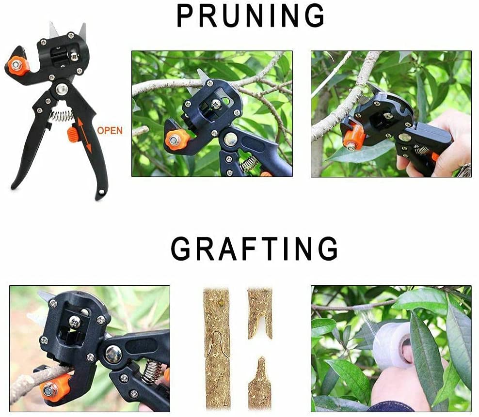 Attrezzi per innesto kit potatore giardino albero da frutto cesoie per innesto giardinaggio pianta ramo stelo vite albero da frutto innesto utensili da taglio
