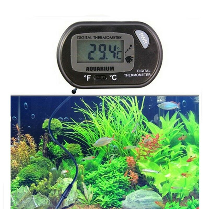 Digital lcd akvarium akvarium havvand terrarium termometer temperatur