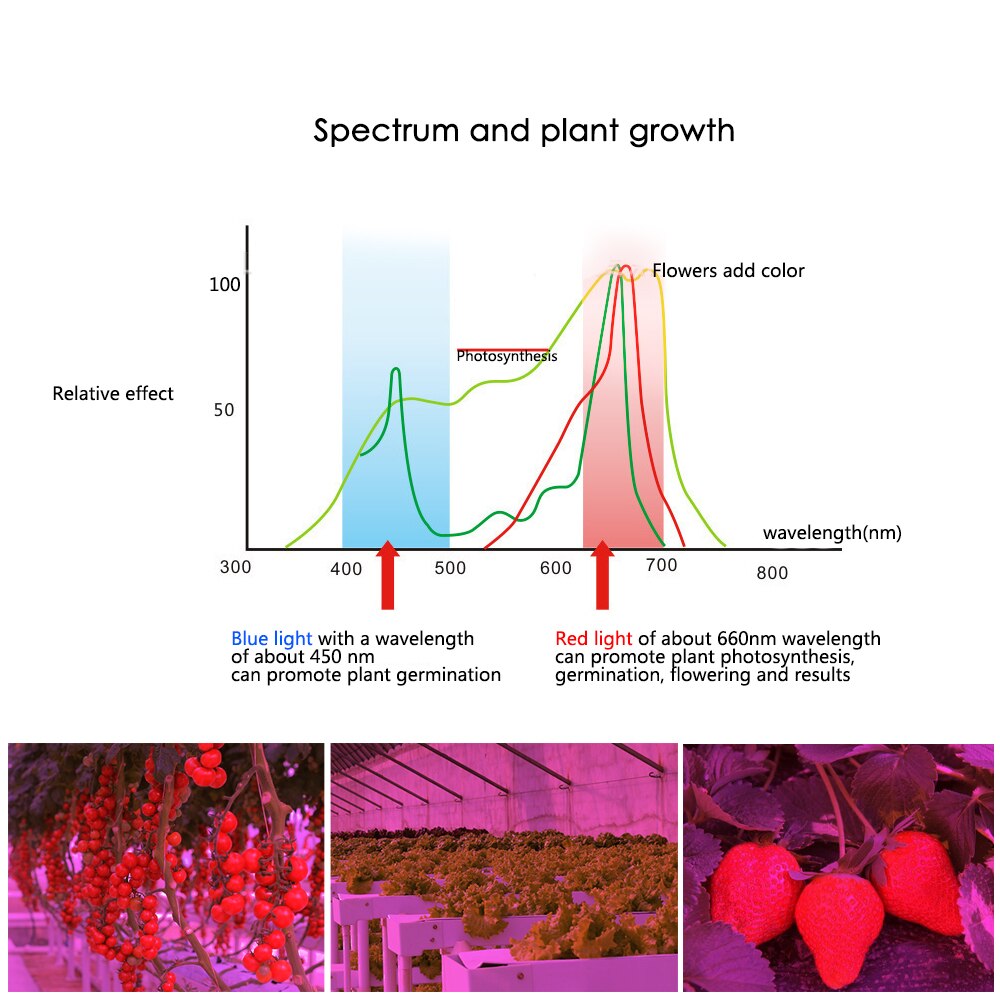 E27 LED Grow Light Plant Growth Lights for Indoor Plants Flower Vegetable 5W/9W/12W/15W Red Blue UV IR Led Growing Lamp