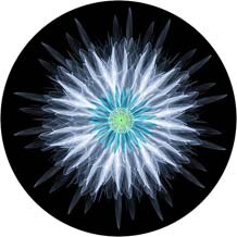 Donut Patroon Voor Telefoons Попсокет Ronde Telefoon Ring Vinger Holder Uitbreiden Stand Grip Pocket Socket: Choose 7