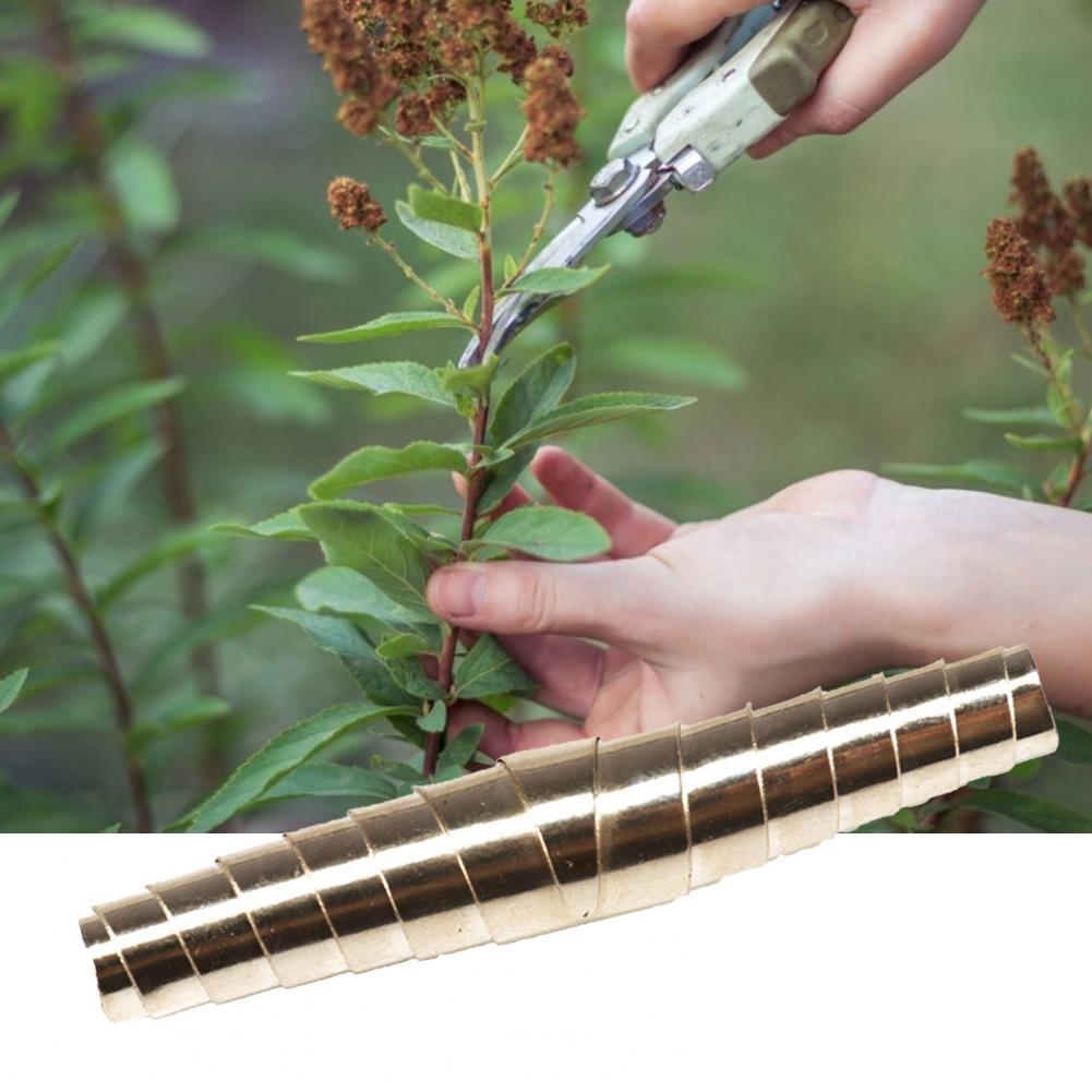 Resorte de podadora Universal de alta dureza, resorte de injerto de voluta de acero inoxidable de buena elasticidad, 5 piezas, para herramienta