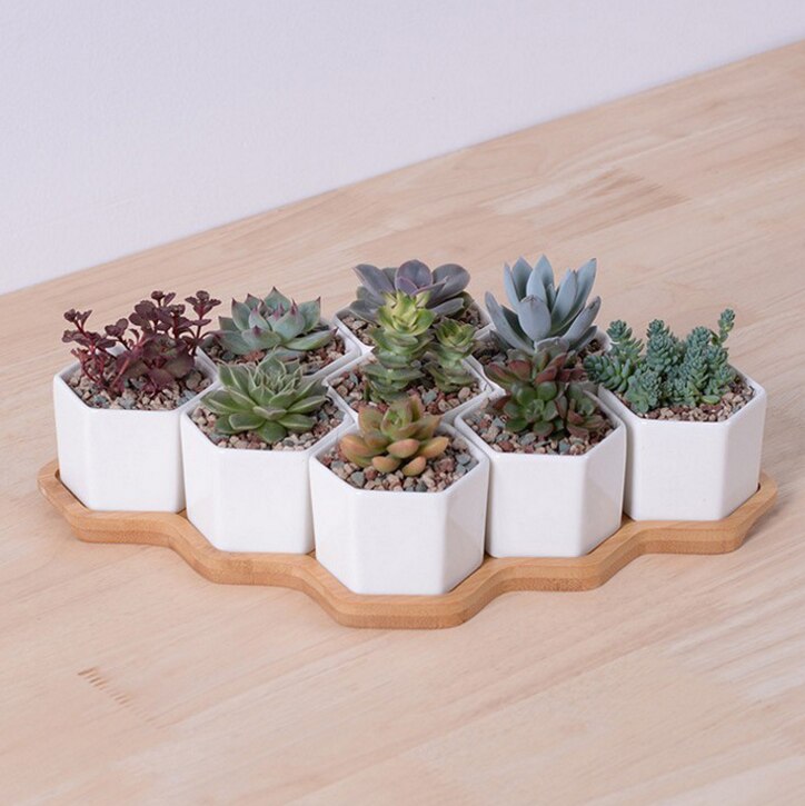 Set Van 4/7/9/10 Hexagon Bloempotten Witte Keramische Vetplant Pot Met Bamboe Stand Home Office Kerst Jaar Decoratie