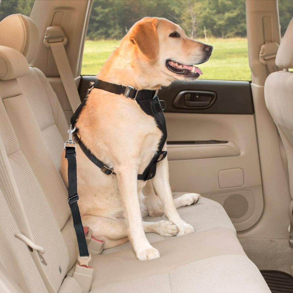 1pc kæledyrs sikkerhedssele bil hund kæledyr sikkerhedssele fastholdelsesbånd snor fører universel justerbar 45-70cm bil holder sikkerhed