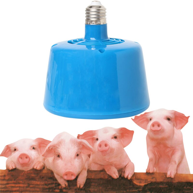Kjæledyr husdyrgrisunger kyllinger varme varm lampe fortsetter å varme opp pære 220v 100-300w