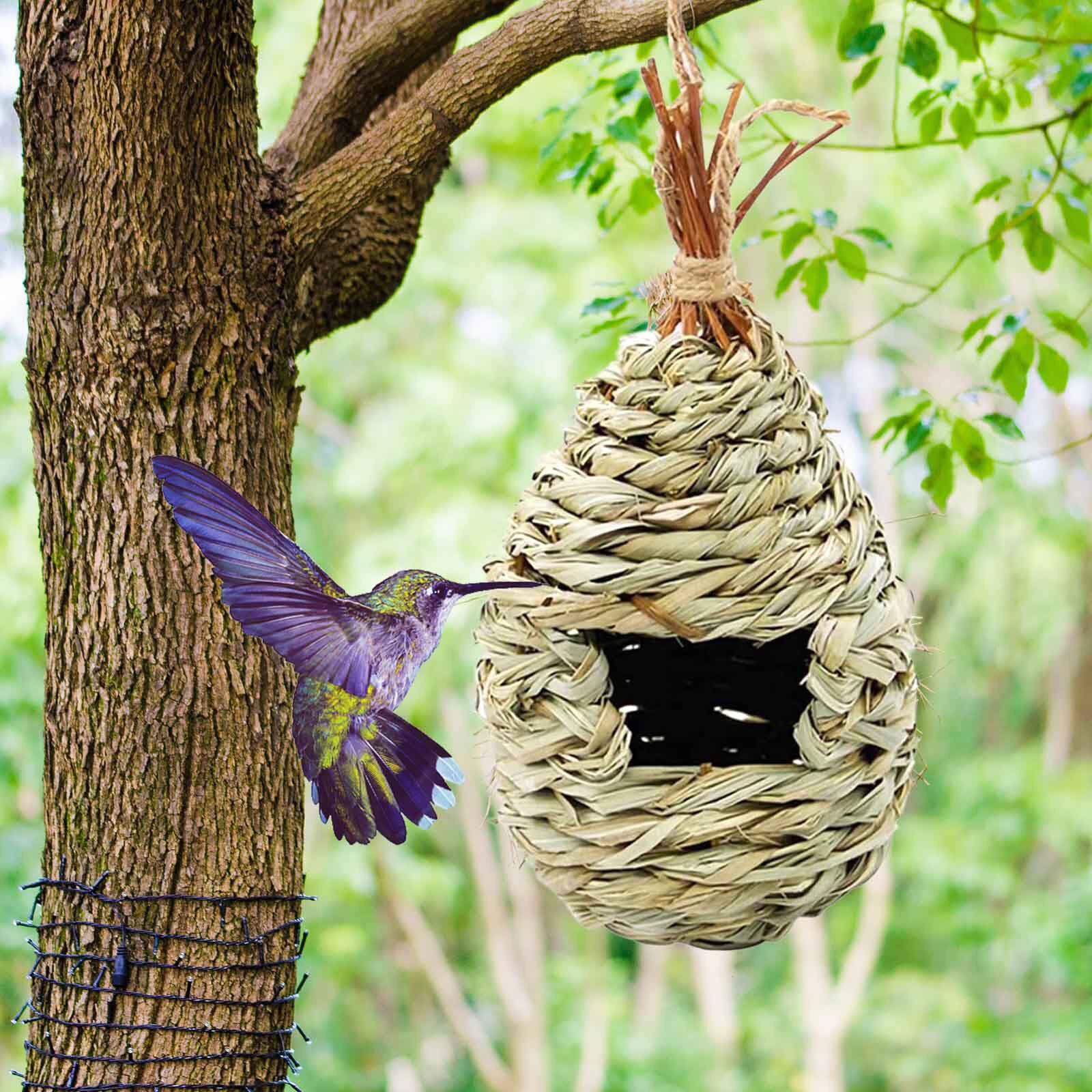 3Pcs Hand-Woven Humming Bird House Hummingbird Nes... – Grandado