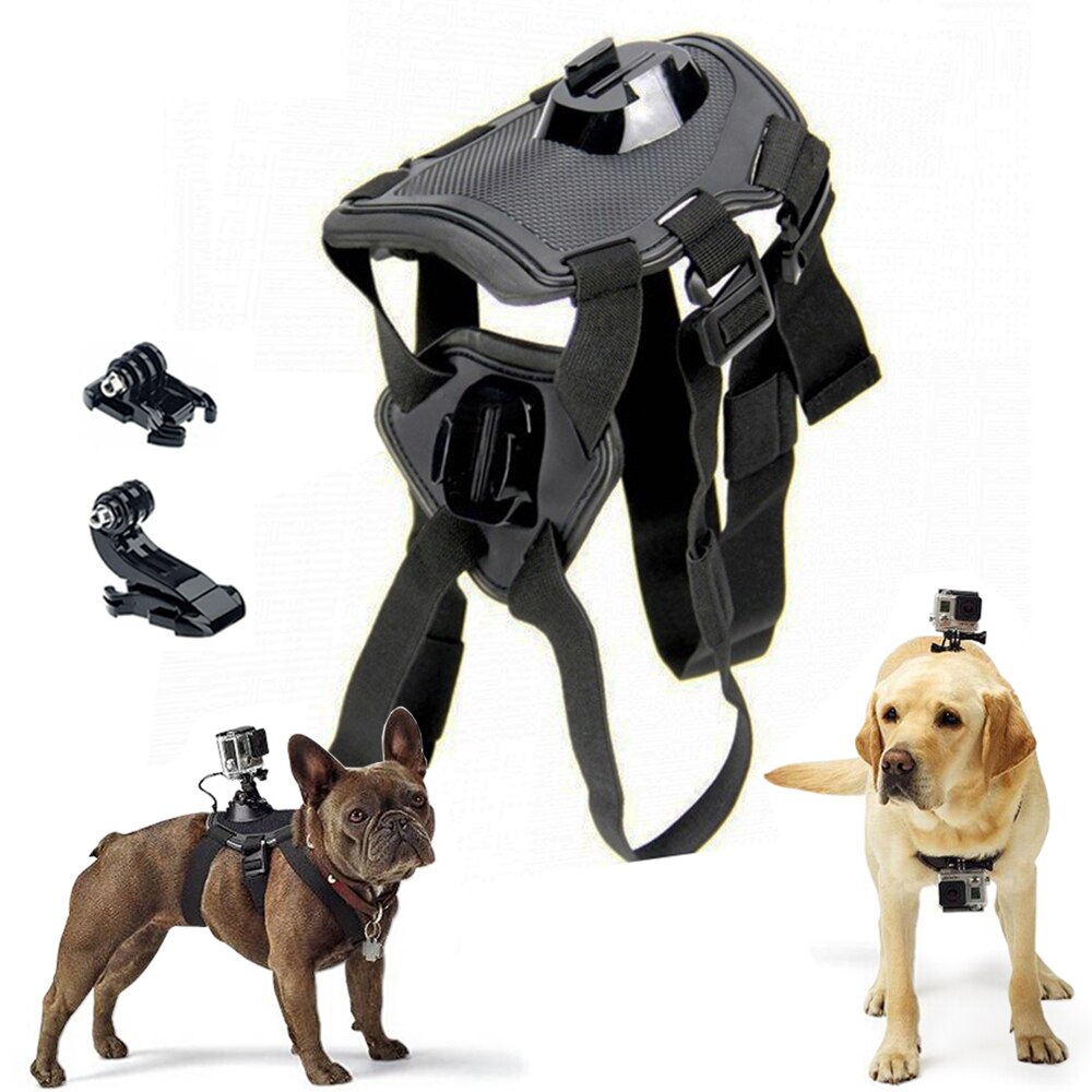 Harnais réglable pour chien, sangle de poitrine pour caméra de sport, pour Gopro 10 9 8 7 6 5 4 3