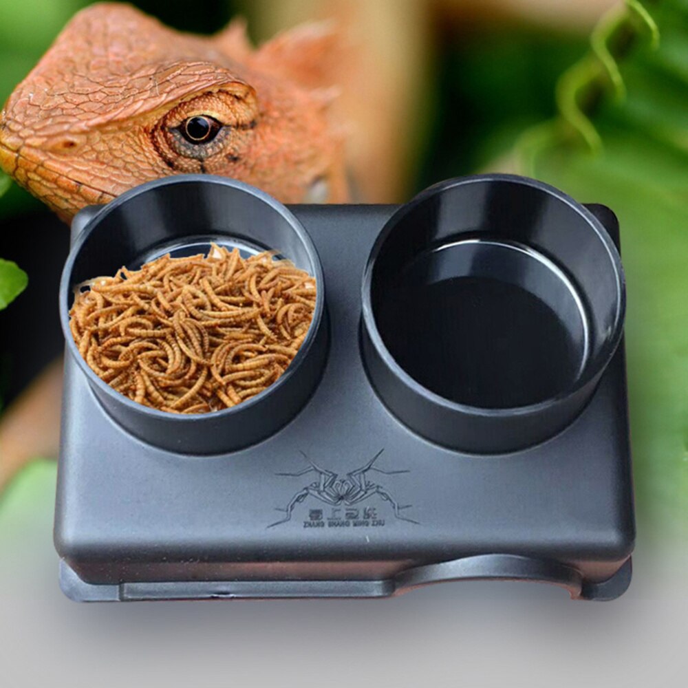 Cuenco de plástico para reptiles, tres en uno, para evitar el agua, tazón de comida para arañas, 1 ud.
