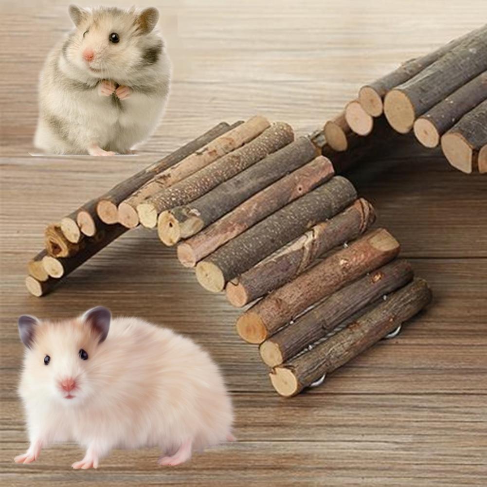Beautiful view of Cheap Hamster Cages With Bridges