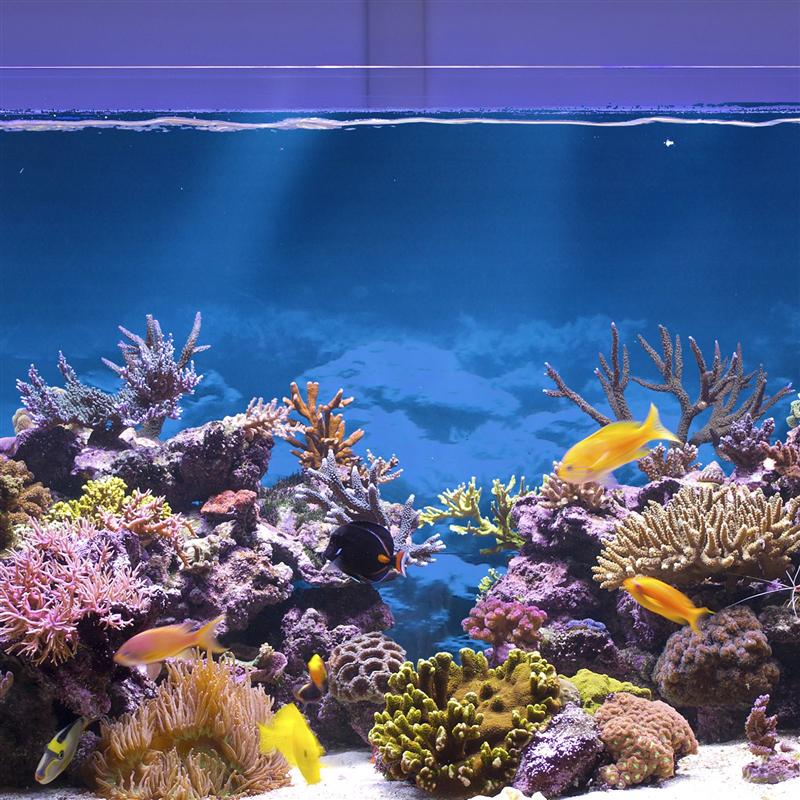 Aquarium Background Sticker Fish Tank Wallpaper Coral Reef Aquarium Poster Decal