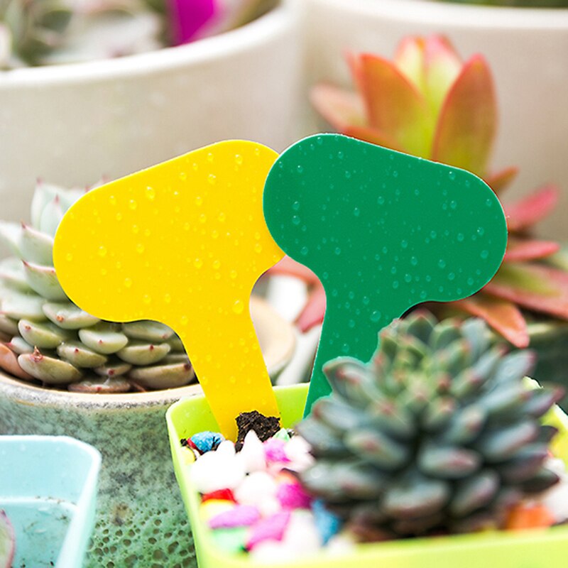 100Pcs T-Type Plant Markers Kleurrijke Pvc Plant Tags Tuin Kwekerij Label Plant Tags Waterdicht Tuinieren Tags Kas markers