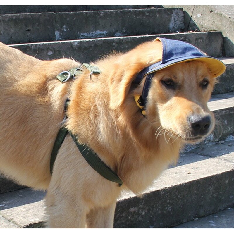 Baseball store hundekapsler åndbar blå jeans kæledyr hund solhatte til store hunde kæledyrsforsyning sl