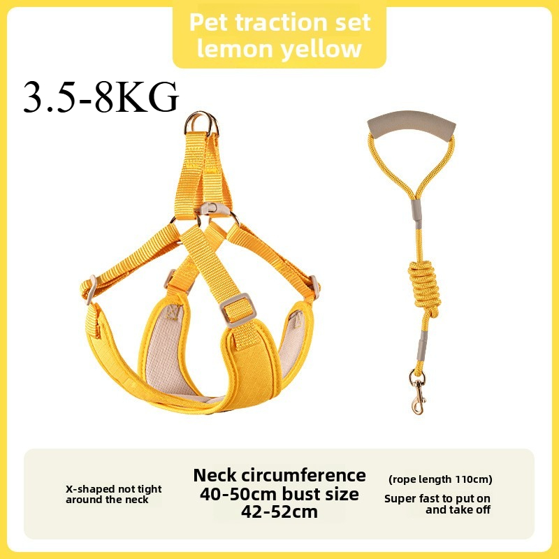 1 Uds. Correa para perro, chaleco, correa para el pecho, collar para perro pequeño, oso de peluche Pompeii, correa para perro mediano, cadena para perro: Azul