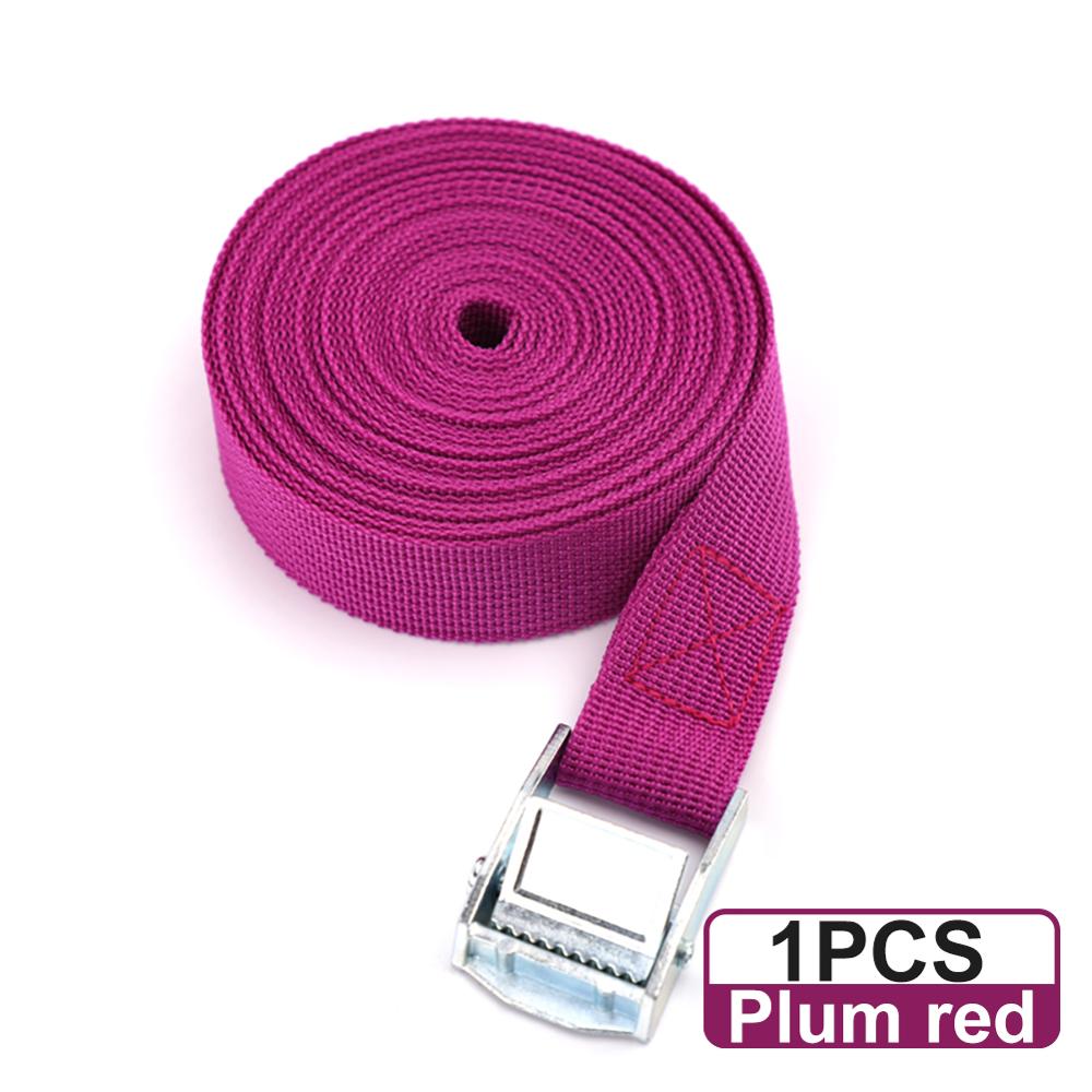 2M Spanngurt Zurrgurte Fracht Straps Für Gepäck Tasche Auto Motorrad Bike Schnalle Tie-Down Gürtel 250 £ seil Starke Krawatte Gürtel: 1pc plum red