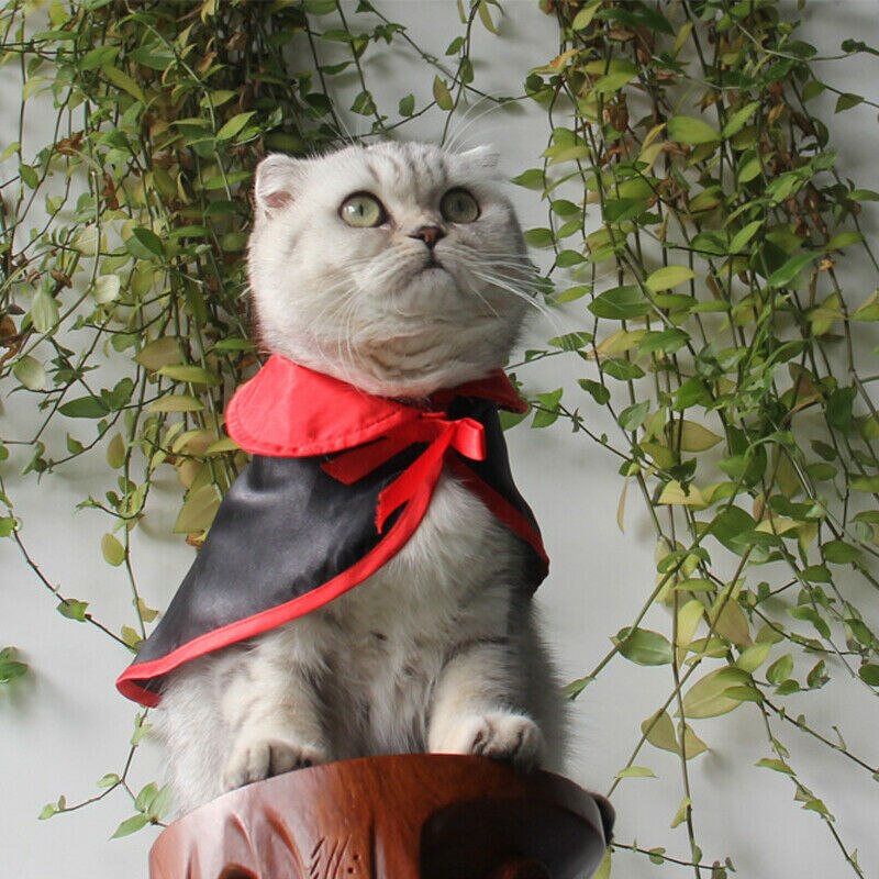Pet Dog Cat Black Cloak Costume Fancy Dress Up Clo... – Vicedeal