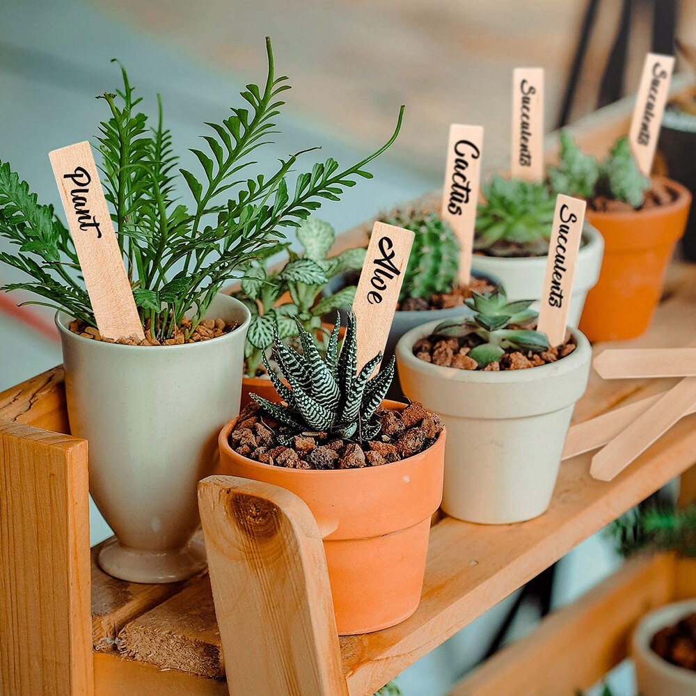 100pcs T Shape Garden Labels Gardening Plant Classification Markers Sorting Seed