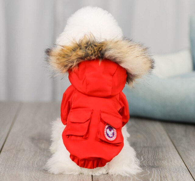 Pet Dog Warm Winter Coat Chihuahua Pug Dog Clothes For Small Medium Dogs Schnauzer Pet Puppy Coat Down Jacket Clothing: Red / XXL