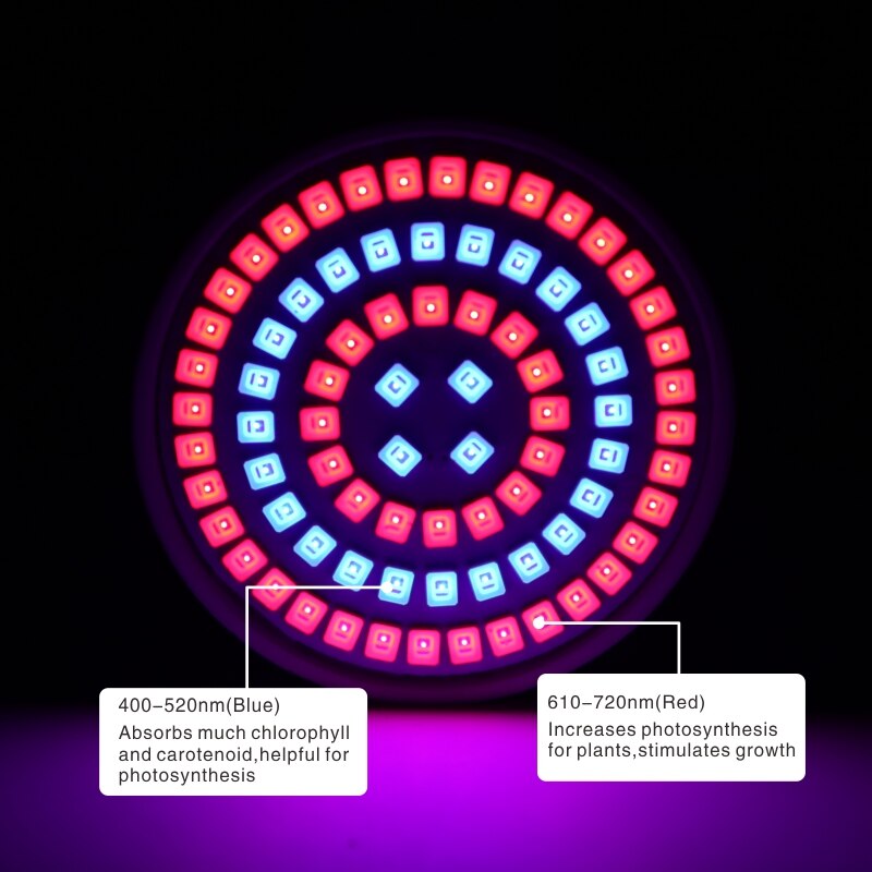 Ampoule de croissance Led E27 E14 GU10 MR16 B22, 220V, éclairage horticole à spectre complet pour Aquarium de plantes, fleurs