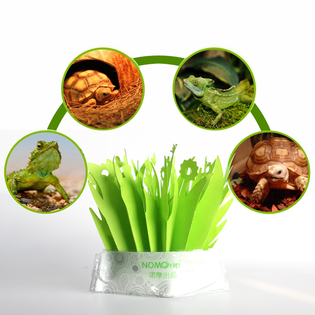 Environmental Reptile Terrarium Air Humidifier Pet Frogs Lizards