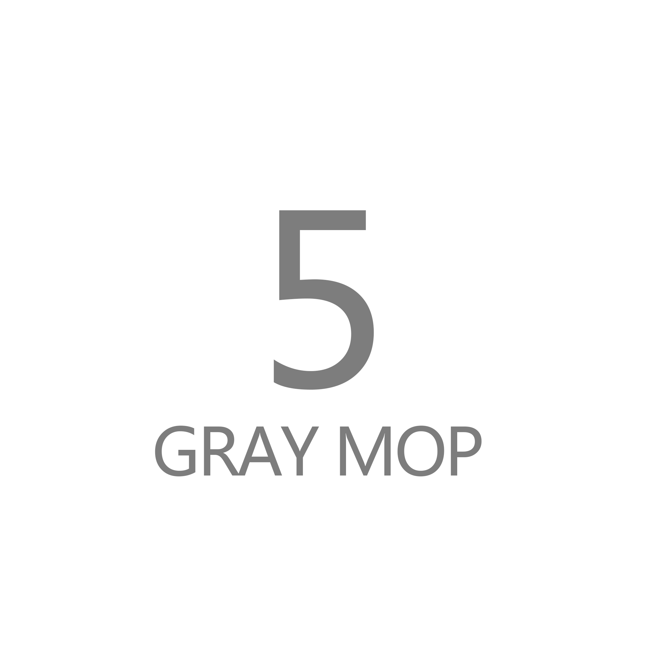 Magic Microfiber Cleaning Mops: 5  GRAY