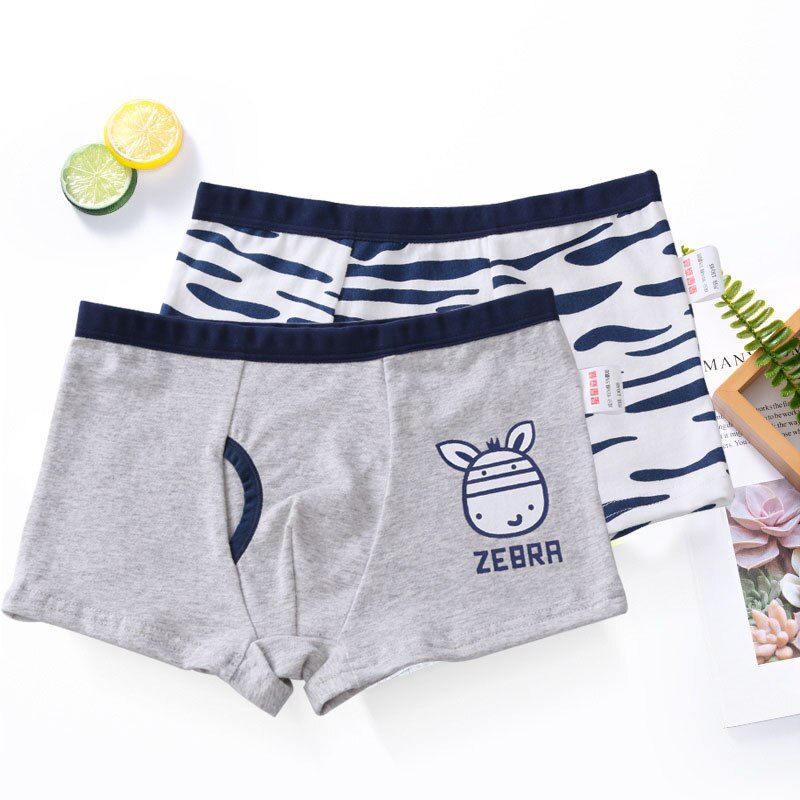 Boxer en coton pour garçons, 2 pièces/lot, , caleçons dessin animé, sous-vêtements pour enfants