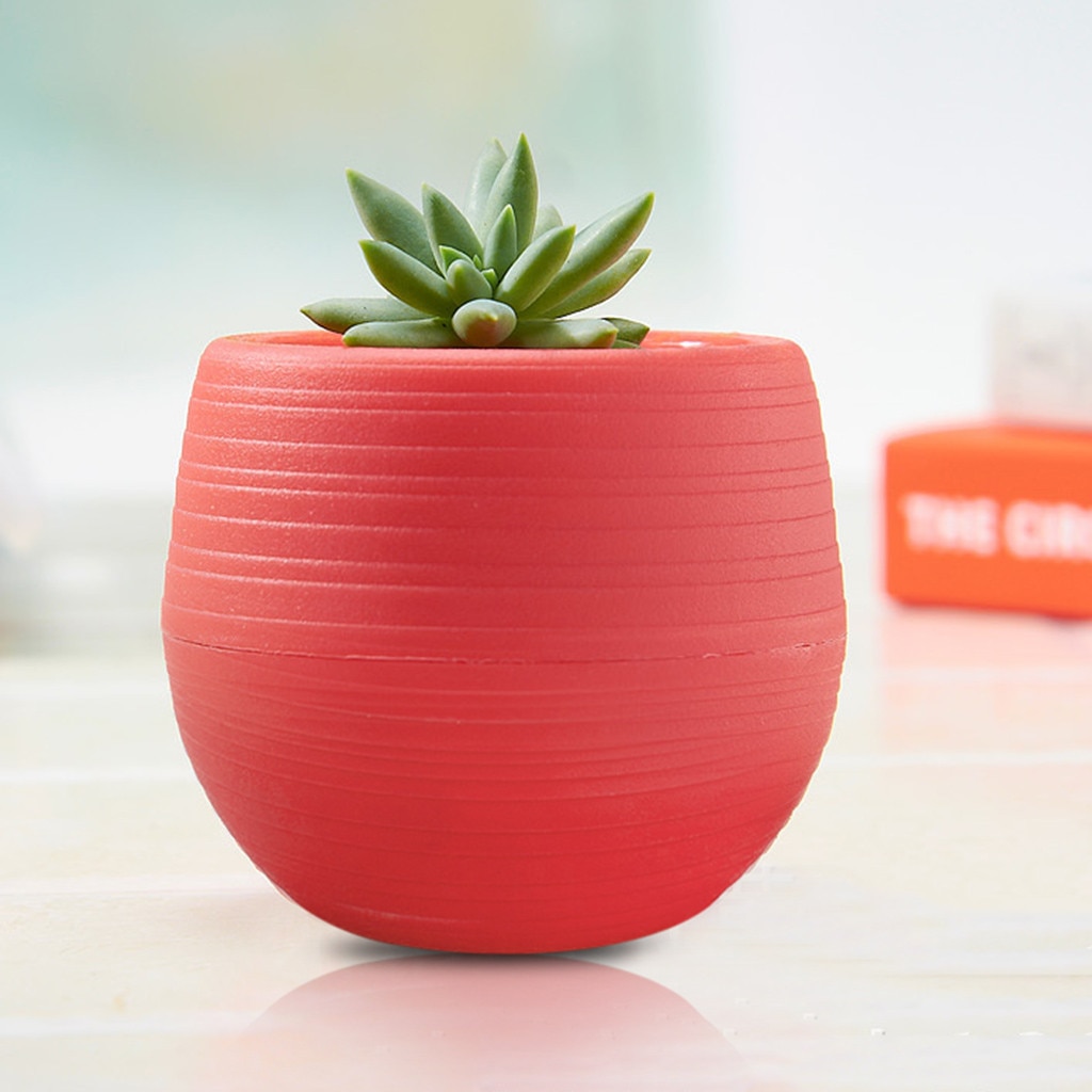5 Colors Mini 10*10cm Colorful Plastic Flower Pot Succulent Plant Flowerpot For Succulent Plants Home Office Decoration