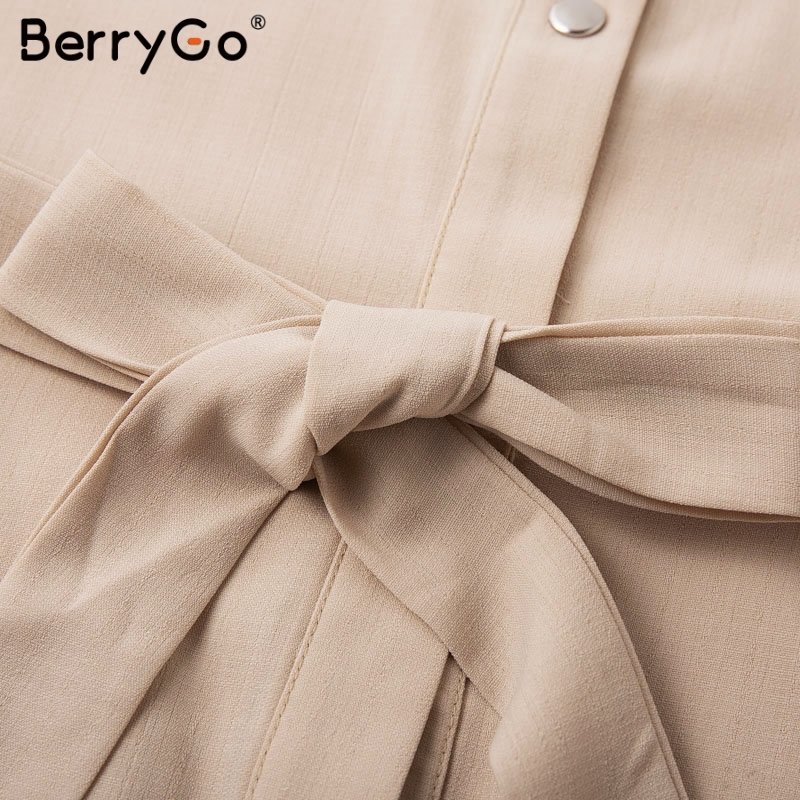 Berrygo Lace Vrouwen Shirt Jurken Pure Mesh Borduren Lange Mouw Knop Kantoor Dames Jurken Solid Sjerpen Zomer Mini Jurk