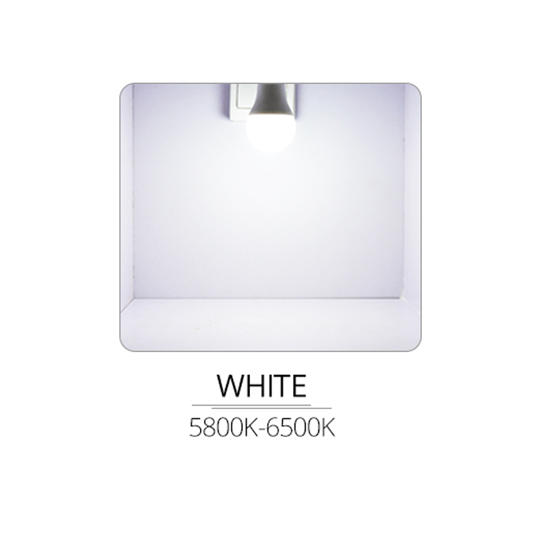 Vacamm LED Street Lights 10W Lampada Dusk to Dawn Lamp Bulb Day Sensor Light For Home Porch Hallway Emergency Night Lighting: White / B22