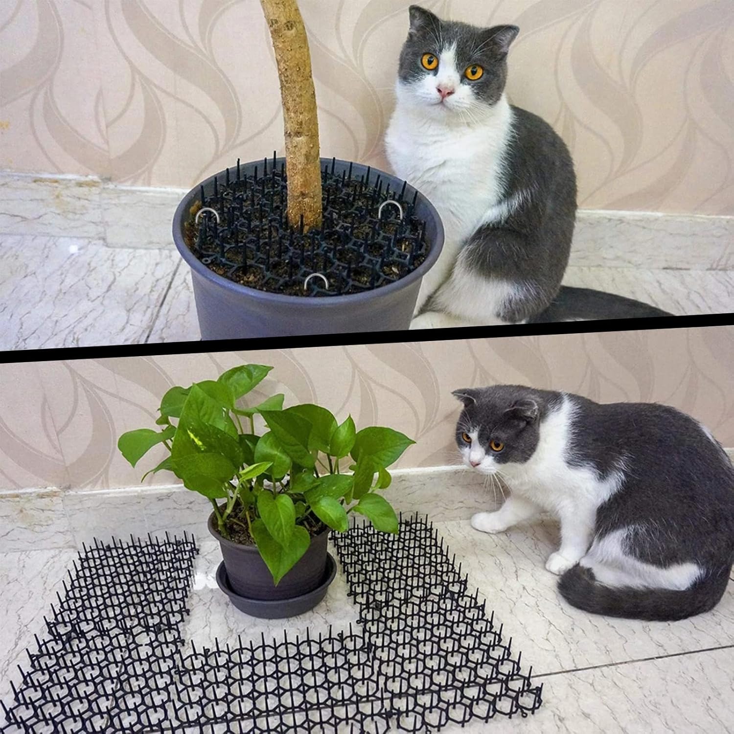 1Pc anti-Gatto picchi Zerbino anti-Arrampicata Recinzione Balcone Isolamento Giardinaggio anti-Gatto Spina rete canna Scoiattolo Repellente Forniture per Animali Domestici