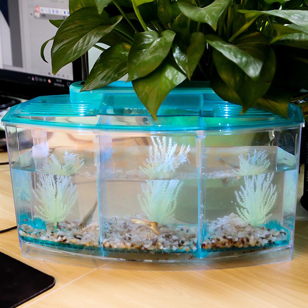 Led lys akryl tre splitter betta fiskeskål trippel bue kamp isolasjon rase boks for akvarium