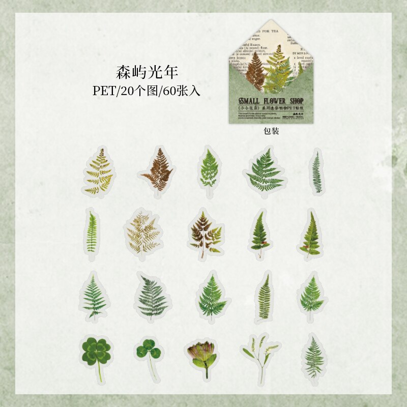 Retro Dried flower specimen PET Deco Stickers Plant Flower Leaf Transparent Bullet Journaling Accessories Aesthetic Stickers: 5