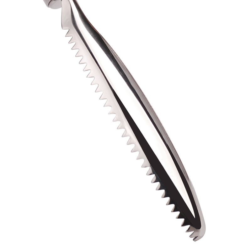 304 Stainless Steel Fish Scale Scaler Kichen Accessories