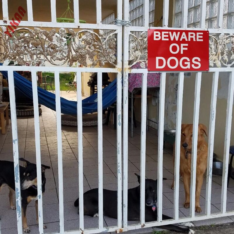 Indoor Outdoor Use 30x20cm 11.8x7.8 Inches Aluminum Beware of Dog Sign Indicator for Fence Gates Wall Guard Dog Signs