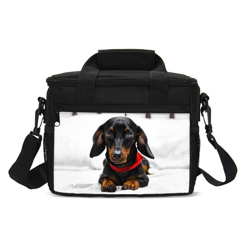 Animal Print Dachshund Sausage Dog Kawaii Kids Cooler Bag Picnic Outside Insulated Box Women Portable Lancheira Thermo Thermal: SCBU019001GZ2