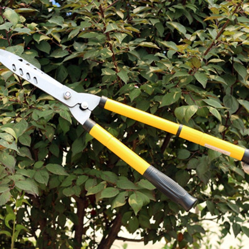 Hedge Clipper Pruning Shears Extendable Gardening Scissors Tool for