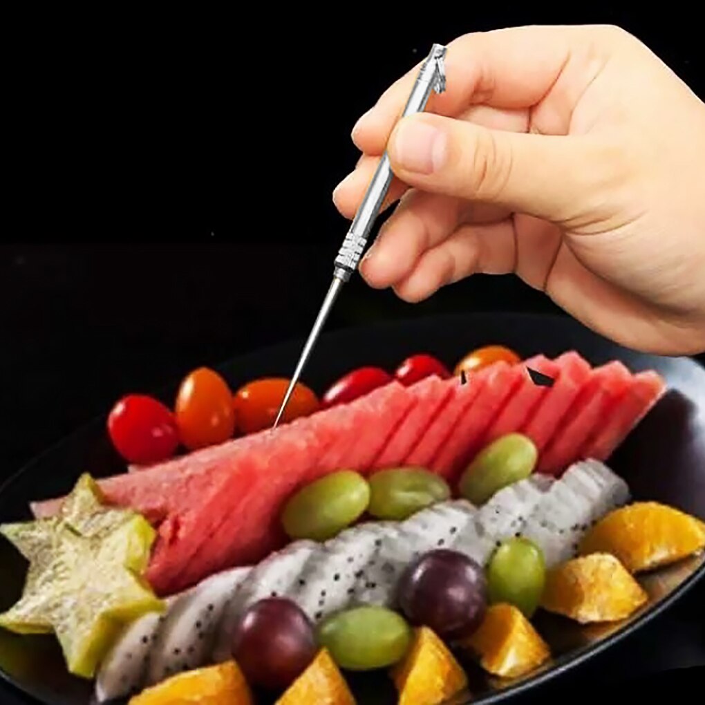 Toothpick Metal Travel Toothpick Portable Fruit Fork Tooth Cleaning Accessory with Holder Travel Metal Toothpick Metal Toothpick