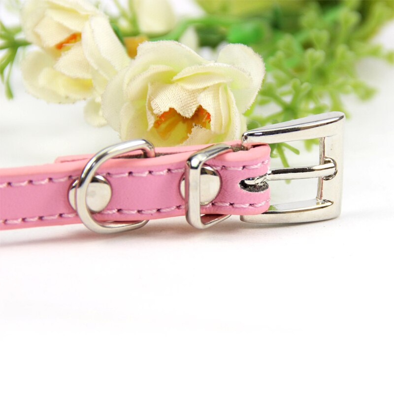 Collier en cuir pour chien, accessoire pour animaux de compagnie, pour petits, moyens et grands chiens, chats, marche en plein air, fournitures pour animaux de compagnie