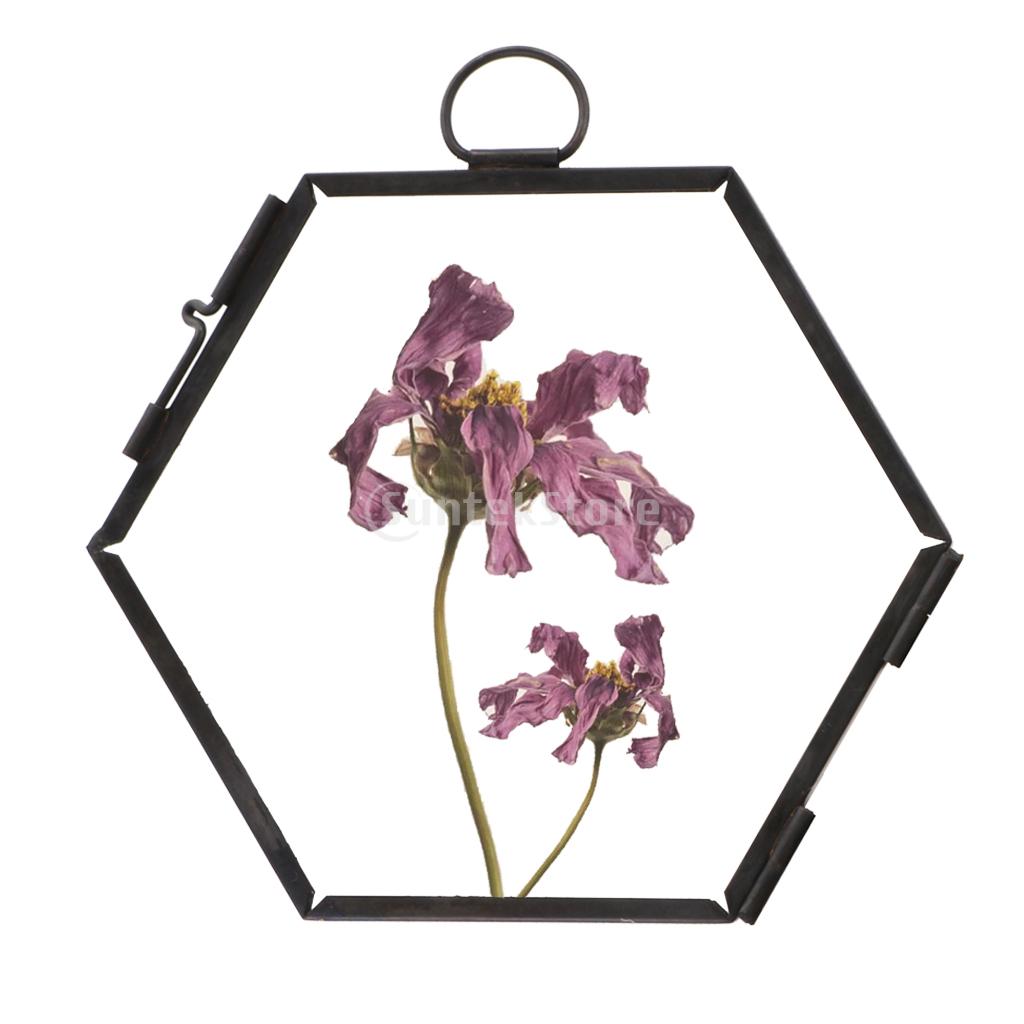 Hanging Metal Glass Vintage Hexagon Photo Picture Frame Keepsake 8.8x8.5cm