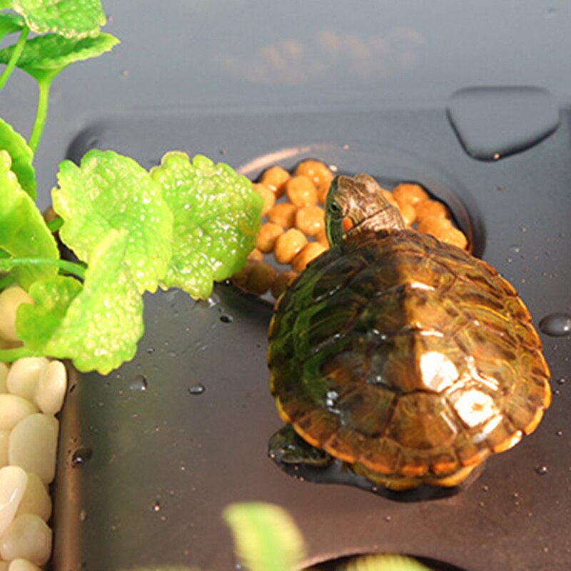 Turtle Tank Aquarium Open Fish Tank with Basking Platform Turtle Habitat with Coconut Tree for Crayfish PR
