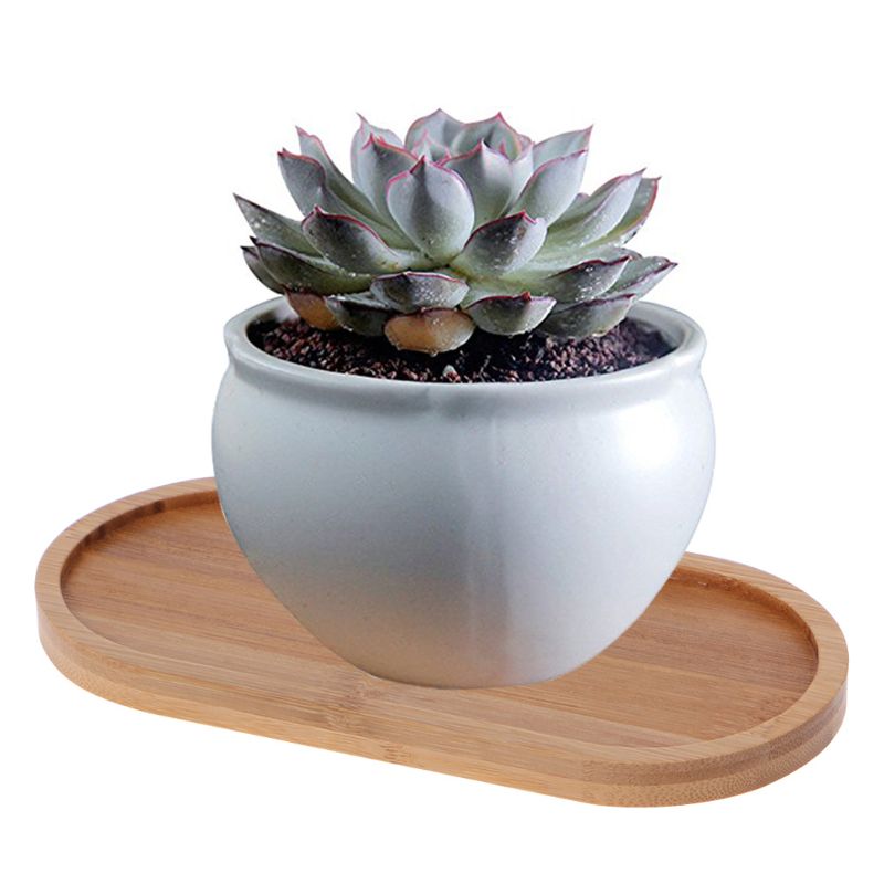 Oval Shape Bamboo Wood Saucer Plant Tray Mini Plant Flower Pot Stand Favor Succulent Pot Tray Simple Home Balcony