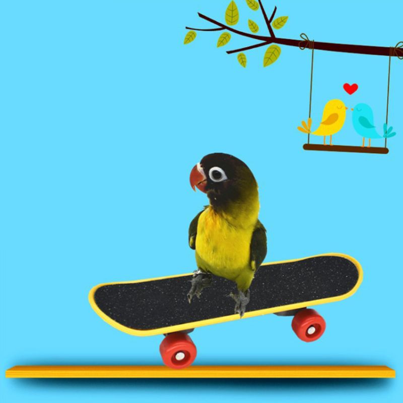 5 stk / sæt papegøje træning legetøj mini indkøbskurv træningsringe skateboard stativ 95aa