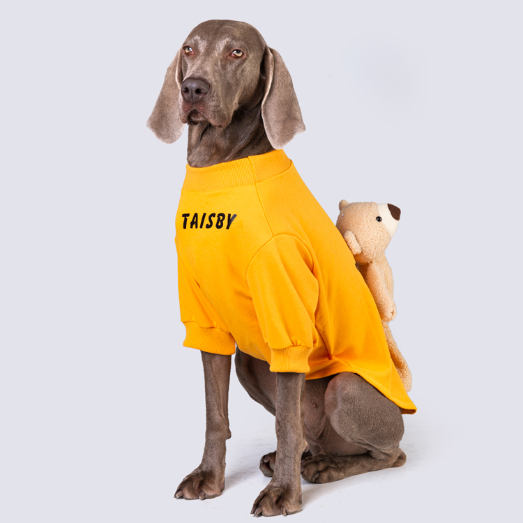 Sweat-shirt pour chien, vêtement de printemps et d&#39;automne, grand gabarit, mince et mignon, Golden Retriever Labrador Shiba Inu, accessoires pour chien