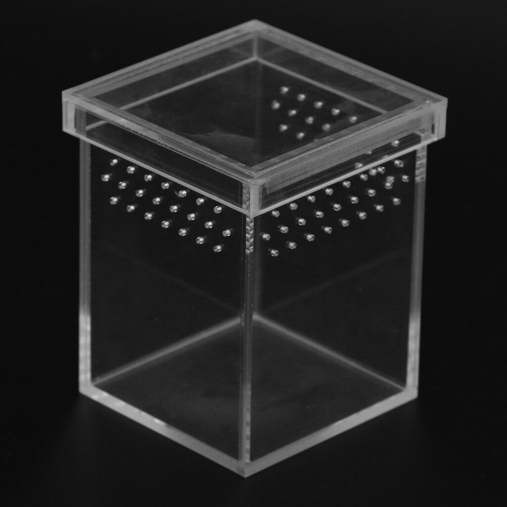 Reptile Turtle Lizard Snake Amphibian Frog Spider Box Habitat Box Case CLEAR