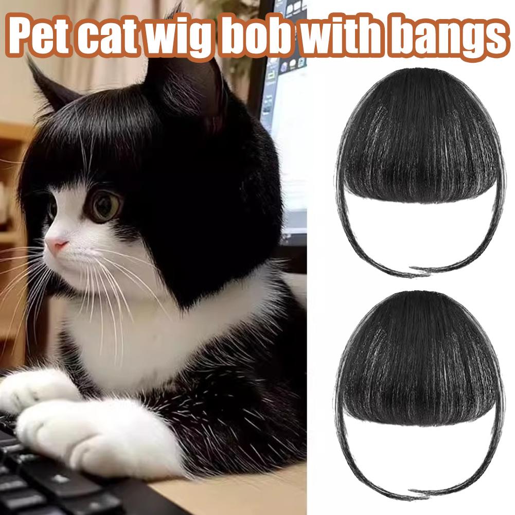 Accesorios de peluca para gato, tocado para perro, disfraz divertido, disfraz de cachorro, vestido de Cosplay, peluca bonita para mascota, accesorios divertidos para la cabeza