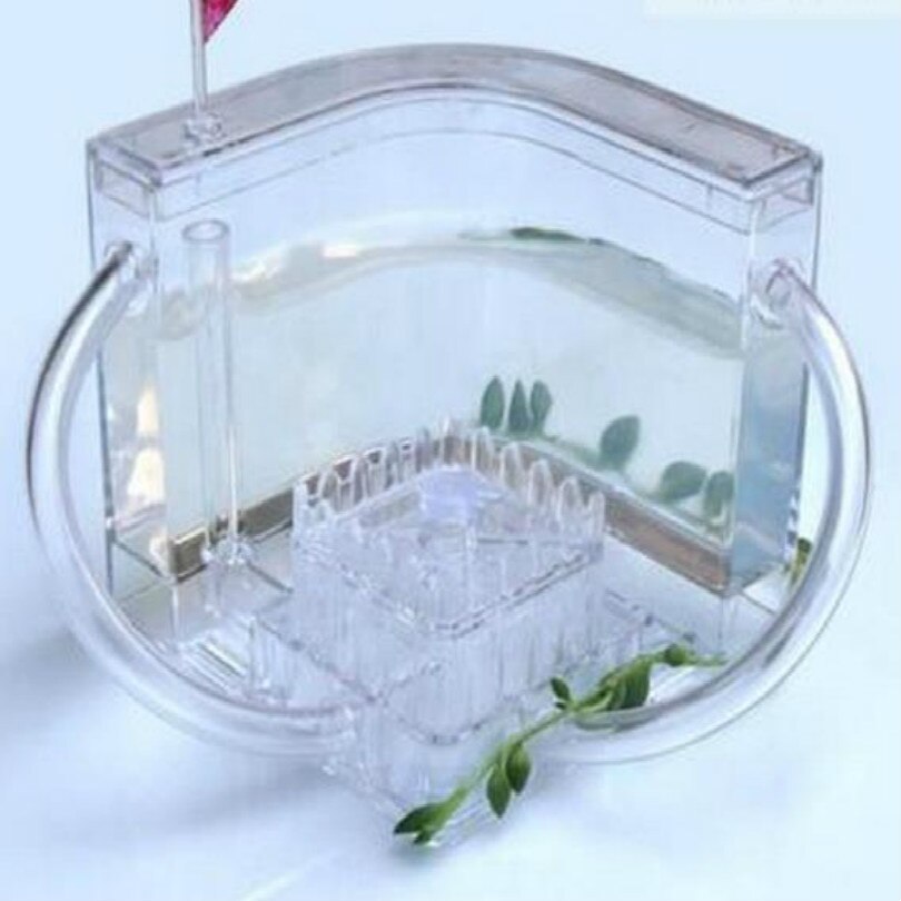 workshop for ant farm ants farm ant house Feeding box with LED