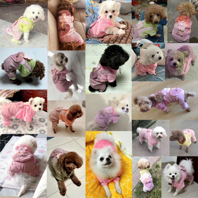 Ropa para perros, Otoño Invierno, abrigo cálido para perros pequeños, chaqueta para cachorros, traje, pantalones bonitos de amor con flores, mono para perros Chihuahua