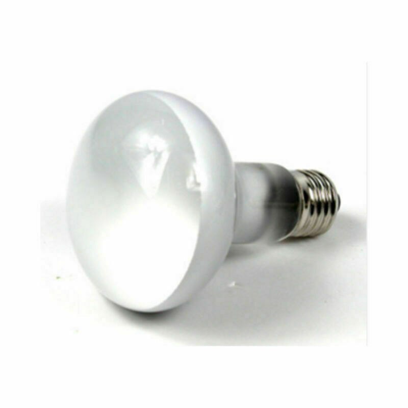 25-100W Intense Basking Spot Light Bulb Reptile Light Lamp Sun Heat Daylight