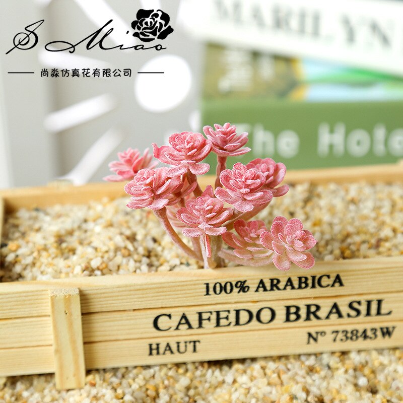 Sztuczna flokowana sukulenty DIY robić przydomowego ogrodu biuro dekoracje ślubne mini bonsai Plante wesele roślina dekoracyjna: xianrenke ZR czerwony