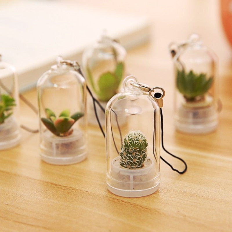 Saftige planter nøgleringe mini bonsai blomst nøglering grønne planter mobiltelefon vedhæng mikro landskab vedhæng flaske nøglering