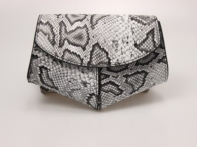 Slangenprint dames web celebrity mini crossbody tas trendy instagram disco tas kleine mobiele telefoon borsttas: Wit