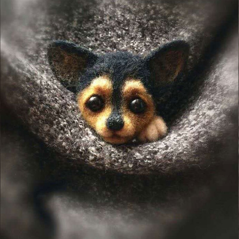 Jiwuo-jouet fait à la main avec dessin animé, renard chiot chat, chien, poupée en feutre avec aiguille, paquet matériel plaqué, bricolage mignon, feutre en laine Animal: 10